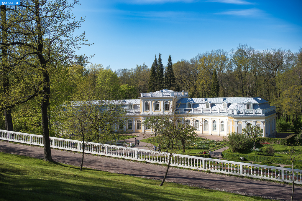 Санкт-Петербургская губерния. Большая оранжерея в Петергофе
